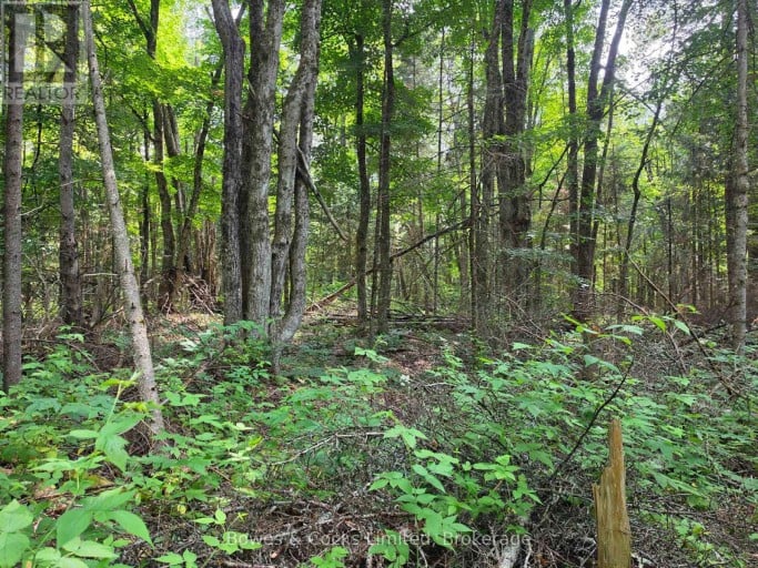 E 1/2 OF W 1/2 LT 28 CONCESSION 12, North Kawartha, Ontario, K0L1A0