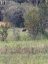 Temple Land, Hudson Bay Rm No. 394, Saskatchewan, S0A0A9 (ID SK046722)