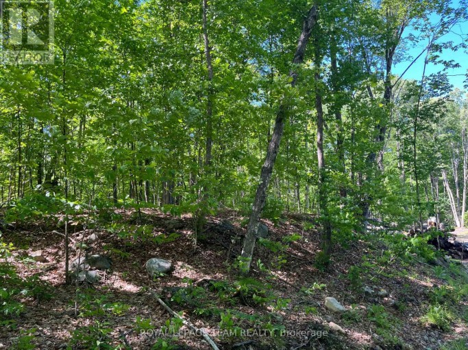 01 Siberia Road, Madawaska Valley, Ontario (id X13715792)