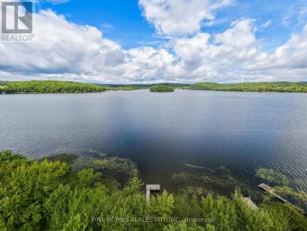 10 - 1326 WINDERMERE ROAD Muskoka Lakes (Watt) Ontario photo 33