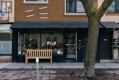 109 JEFFERSON AVENUE Toronto (South Parkdale) Ontario photo 23
