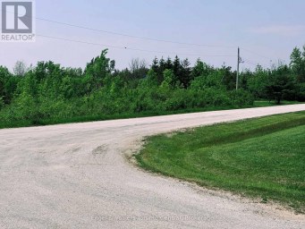 121 ROBERTSON AVENUE Meaford Ontario photo 3
