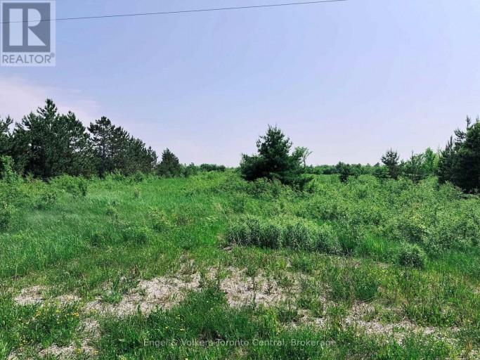 121 ROBERTSON AVENUE, Meaford, Ontario, N4L1W7
