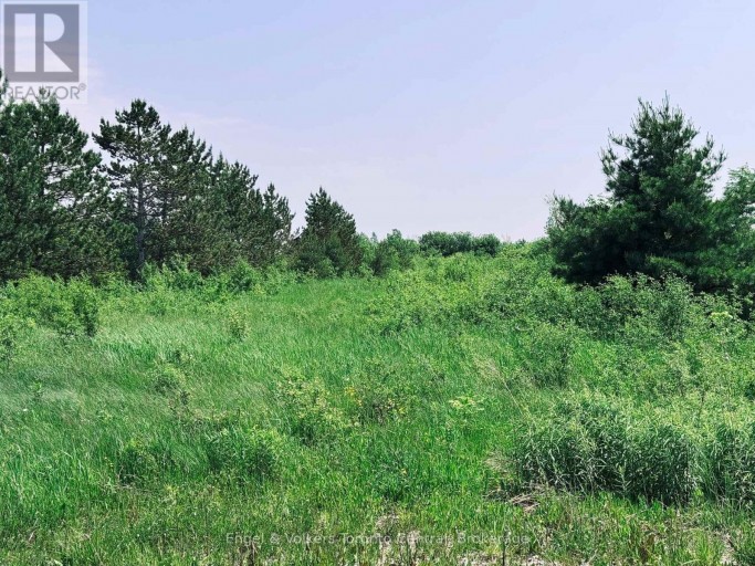 121 ROBERTSON AVENUE, Meaford, Ontario, N4L1W7
