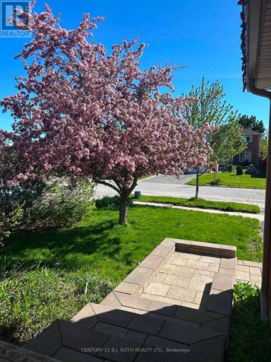 42 FARMSTEAD CRESCENT, Barrie (Holly), Ontario, L4N8S1
