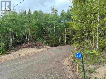241 CLOUD LAKE ROAD Neebing (Blake) Ontario photo 1