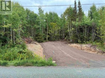 241 CLOUD LAKE ROAD Neebing (Blake) Ontario photo 2