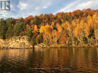 264 BOY SCOUTS ROAD Burk's Falls Ontario photo 32