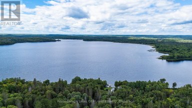 264 BOY SCOUTS ROAD Burk's Falls Ontario photo 50