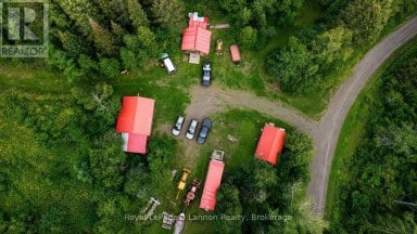 LOT 40 ROAD 4 N Thunder Bay Remote Area (Devon) Ontario photo 3
