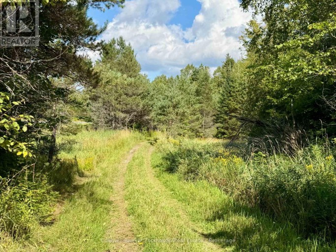 Lot 13 Hwy 522 Highway W, Parry Sound Remote Area (wilson), Ontario (id X13717454)