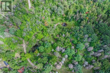 6608 HIGHWAY 28 North Kawartha Ontario photo 44