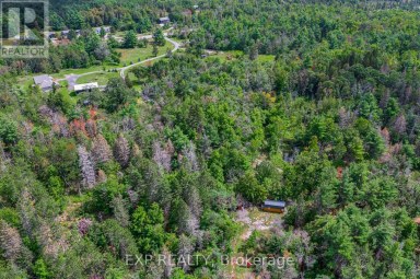 6608 HIGHWAY 28 North Kawartha Ontario photo 45