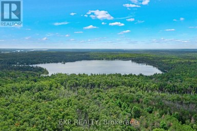 6608 HIGHWAY 28 North Kawartha Ontario photo 47