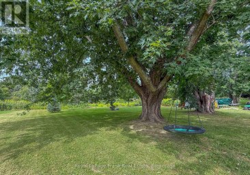10 CHICKADEE COURT Kawartha Lakes (Mariposa) Ontario photo 39