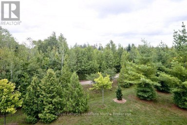 303 - 8 BRANDY LANE DRIVE Collingwood Ontario photo 18