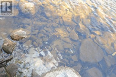 TBD SPRUCE LAKE TRAIL Dysart et al (Dysart) Ontario photo 10