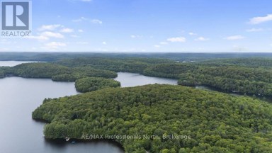 TBD SPRUCE LAKE TRAIL Dysart et al (Dysart) Ontario photo 17