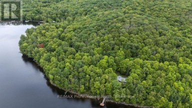 TBD SPRUCE LAKE TRAIL Dysart et al (Dysart) Ontario photo 18