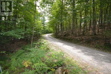 TBD SPRUCE LAKE TRAIL Dysart et al (Dysart) Ontario photo 3