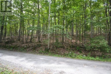 TBD SPRUCE LAKE TRAIL Dysart et al (Dysart) Ontario photo 4