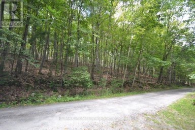 TBD SPRUCE LAKE TRAIL Dysart et al (Dysart) Ontario photo 5