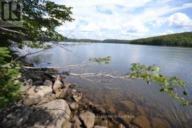 TBD SPRUCE LAKE TRAIL Dysart et al (Dysart) Ontario photo 8