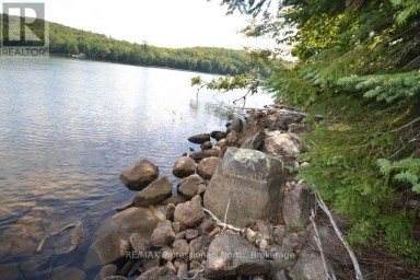 TBD SPRUCE LAKE TRAIL Dysart et al (Dysart) Ontario photo 9