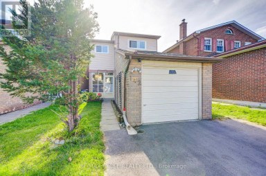 142 SHADY HOLLOW DRIVE Toronto (Milliken) Ontario photo 2