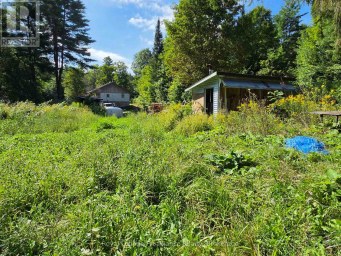 152 ADDINGTON RD 3 Addington Highlands Ontario photo 37