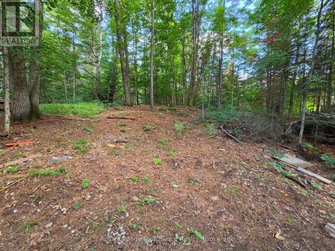 152 ADDINGTON RD 3, Addington Highlands, Ontario, K0H1K0