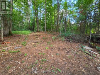 152 ADDINGTON RD 3 Addington Highlands Ontario photo 40