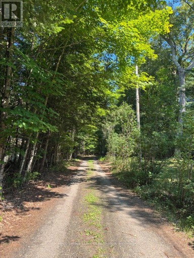 1046 PLACID LANE, Algonquin Highlands (Stanhope), Ontario, K0M1S0