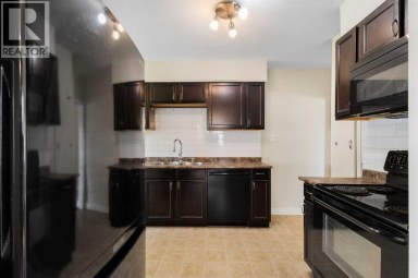 1741 24 Street SW Calgary Alberta photo 11