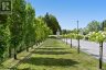 731 WOODLAND ACRES CRESCENT, Vaughan, Ontario, L6A1G2 (ID N13720088)