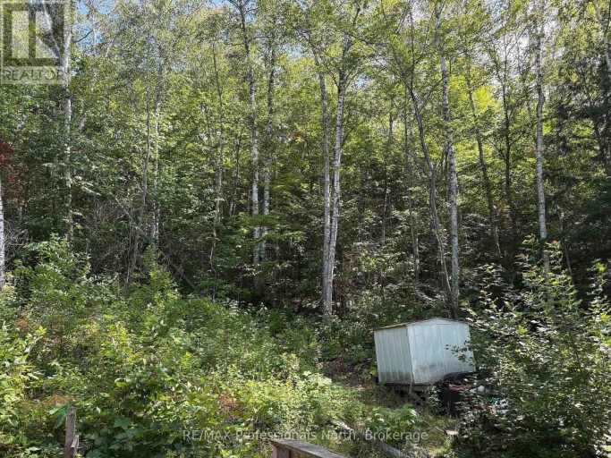 PT LT 12-13 CON 2 BAPTISTE LAKE WAO, Hastings Highlands (Herschel Ward), Ontario, K0L1C0