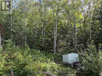 PT LT 12-13 CON 2 BAPTISTE LAKE WAO Hastings Highlands (Herschel Ward) Ontario photo 17