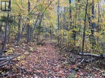PT LT 12-13 CON 2 BAPTISTE LAKE WAO Hastings Highlands (Herschel Ward) Ontario photo 18