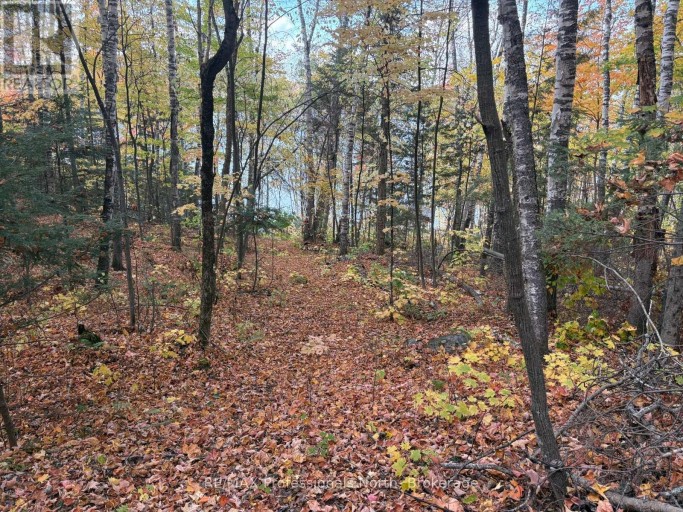 PT LT 12-13 CON 2 BAPTISTE LAKE WAO, Hastings Highlands (Herschel Ward), Ontario, K0L1C0