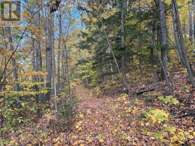 PT LT 12-13 CON 2 BAPTISTE LAKE WAO, Hastings Highlands (Herschel Ward), Ontario, K0L1C0