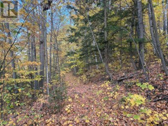 PT LT 12-13 CON 2 BAPTISTE LAKE WAO Hastings Highlands (Herschel Ward) Ontario photo 20