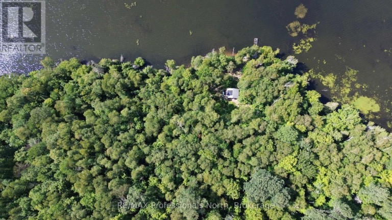 PT LT 12-13 CON 2 BAPTISTE LAKE WAO, Hastings Highlands (Herschel Ward), Ontario, K0L1C0