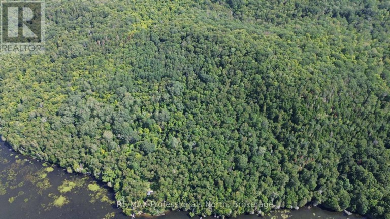 PT LT 12-13 CON 2 BAPTISTE LAKE WAO, Hastings Highlands (Herschel Ward), Ontario, K0L1C0