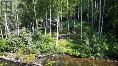 PT LT 12-13 CON 2 BAPTISTE LAKE WAO Hastings Highlands (Herschel Ward) Ontario photo 4