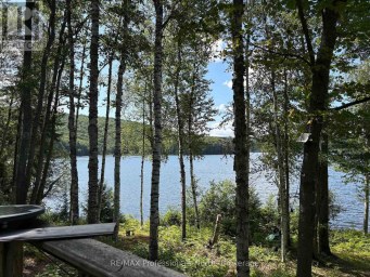 PT LT 12-13 CON 2 BAPTISTE LAKE WAO Hastings Highlands (Herschel Ward) Ontario photo 7