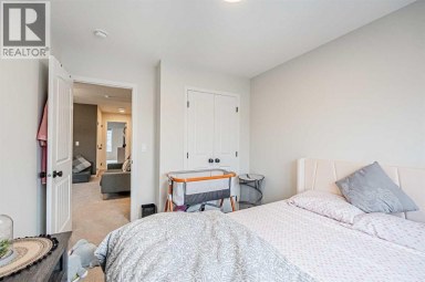 235 Cornerbrook Road NE Calgary Alberta photo 23