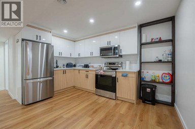 235 Cornerbrook Road NE Calgary Alberta photo 32