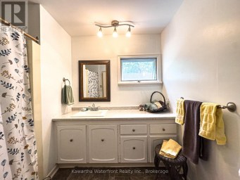 25 GOVERNMENT DOCK ROAD Kawartha Lakes (Laxton/Digby/Longford) Ontario photo 17