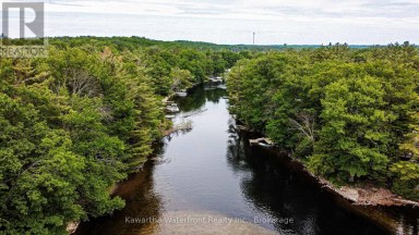 25 GOVERNMENT DOCK ROAD Kawartha Lakes (Laxton/Digby/Longford) Ontario photo 37
