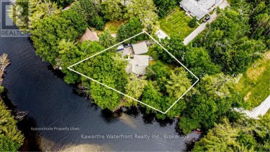 25 GOVERNMENT DOCK ROAD Kawartha Lakes (Laxton/Digby/Longford) Ontario photo 46